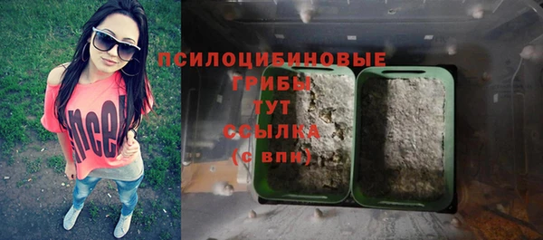 прущий лед Осташков