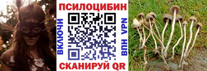 Псилоцибиновые грибы Cubensis  закладка  shop официальный сайт  Сухой Лог 